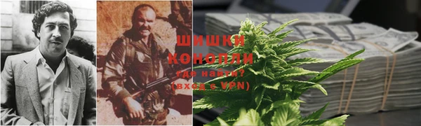 сатива Верхний Тагил