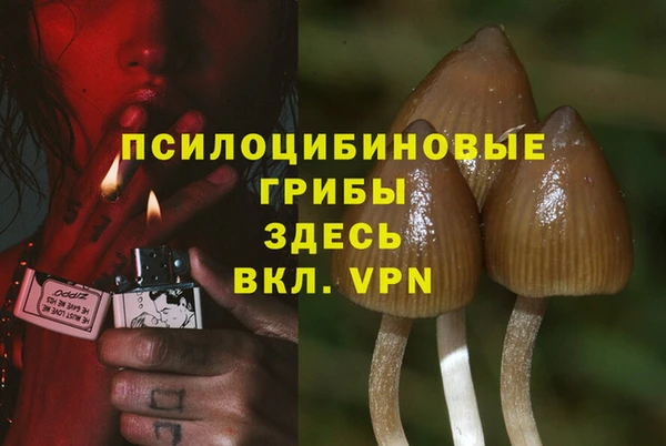 2c-b Верея