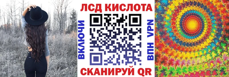 KRAKEN онион  Выборг  Марки N-bome 1500мкг  где можно купить наркотик 